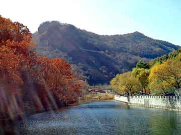 新澳天天开奖资料大全旅游团，宦海云飞